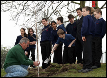 Group of children planting a tree with help from a teacher
